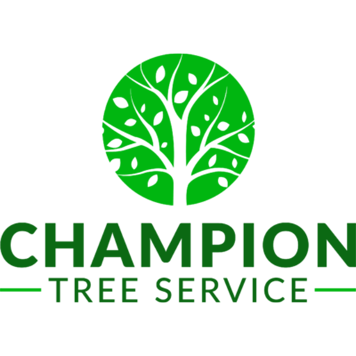 Champion Tree Services Birmingham