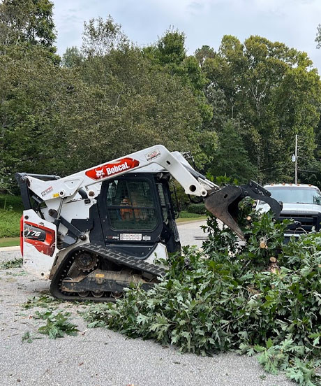 Alabama Emergency Tree services