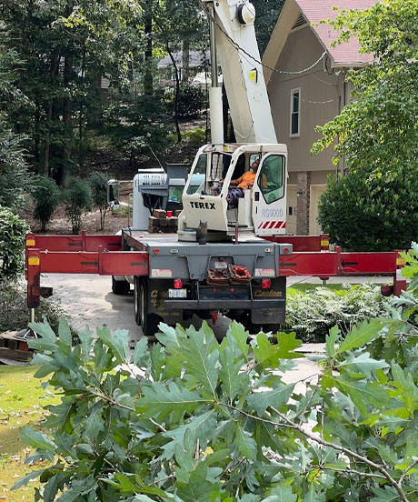 Birmingham Alabama Emergency Tree service