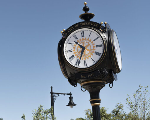 Trussville, Alabama Tree Service
